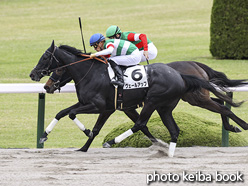 カラーパネル2021年4月4日阪神1R 3歳未勝利(ヴェールアップ)