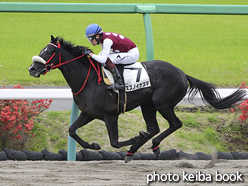 カラープリント(アルミ枠付き)2021年4月17日中山2R 3歳未勝利(スズノイナズマ)