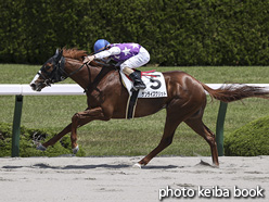 カラーパネル2021年4月25日阪神3R 3歳未勝利(サンライズグリット)