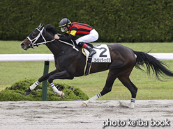 カラープリント(アルミ枠付き)2021年5月2日阪神3R 3歳未勝利(エイシンティップス)