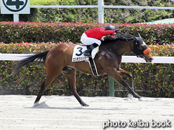 カラーパネル2021年5月9日東京6R 4歳以上1勝クラス(エリモグリッター)