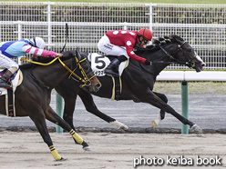 カラーパネル2021年5月15日中京2R 3歳未勝利(メイクマイデイ)