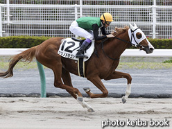 カラーパネル2021年5月15日中京3R 3歳未勝利(クリノドラゴン)