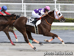 カラーパネル2021年5月15日中京12R 4歳以上2勝クラス(サンライズラポール)