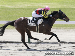 カラープリント(アルミ枠なし)2021年5月15日新潟1R 3歳未勝利(ゴールデンプルーフ)