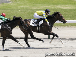 カラープリント(アルミ枠なし)2021年5月15日新潟7R 4歳以上1勝クラス(サクセスリボーン)