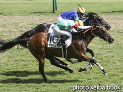 カラープリント(アルミ枠付き)2021年5月15日新潟9R 4歳以上1勝クラス(アグリューム)