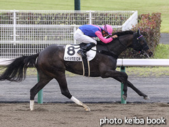 カラープリント(アルミ枠なし)2021年5月16日中京8R 4歳以上2勝クラス(メイショウヨソユキ)