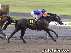 カラープリント(アルミ枠なし)2021年5月16日中京11R 栗東ステークス(メイショウオーパス)