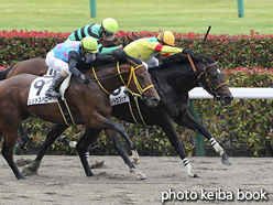 カラープリント(アルミ枠付き)2021年5月16日東京3R 3歳未勝利(シバノトロフェオ)