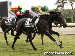 カラーパネル2021年5月16日新潟1R 3歳未勝利(サザンナイツ)