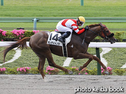 カラーパネル2021年5月23日東京1R 3歳未勝利(オレデイイノカ)