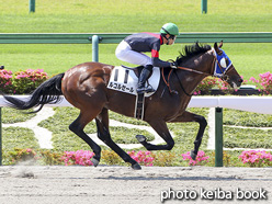 カラーパネル2021年5月30日東京1R 3歳未勝利(ルコルセール)