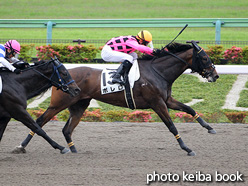 カラーパネル2021年6月6日東京1R 3歳未勝利(ボレロ)