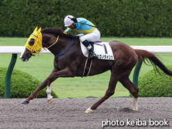 カラープリント(アルミ枠付き)2021年6月19日阪神4R 3歳以上障害OP(ヒロノタイリク)