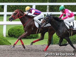 カラープリント(アルミ枠付き)2021年6月19日阪神7R 3歳以上1勝クラス(ジャスパーゴールド)