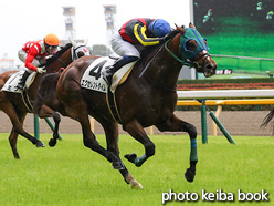 カラーパネル2021年6月19日東京8R 3歳以上1勝クラス(エクセレントタイム)