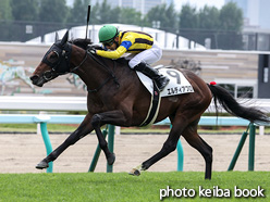 カラーパネル2021年6月19日札幌3R 3歳未勝利(エルディアブロ)