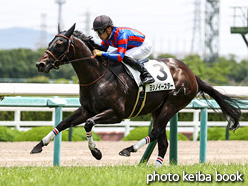 カラープリント(アルミ枠付き)2021年6月20日阪神3R 3歳未勝利(ヨシノイースター)