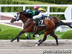 カラーパネル2021年6月20日阪神9R 鷹取特別(エブリワンブラック)