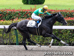 カラープリント(アルミ枠付き)2021年6月20日東京1R 3歳以上障害未勝利(ハルクンノテソーロ)