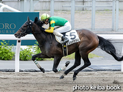 カラープリント(アルミ枠付き)2021年6月20日札幌2R 3歳未勝利(スズカマクフィ)