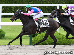 カラーパネル2021年6月26日阪神2R 3歳未勝利(メイショウミズモ)