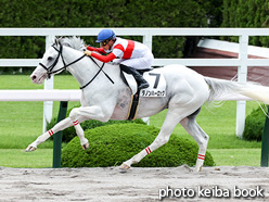 カラープリント(アルミ枠なし)2021年6月26日阪神12R 3歳以上1勝クラス(ダノンハーロック)