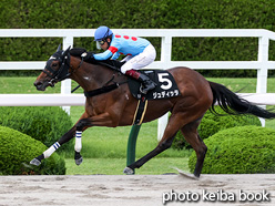 カラーパネル2021年6月27日阪神12R リボン賞(ジュディッタ)