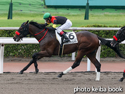 カラープリント(アルミ枠付き)2021年7月3日小倉6R 2歳新馬(シホノディレット)