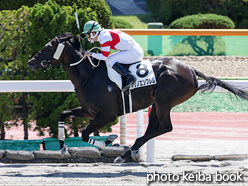 カラーパネル2021年7月3日函館8R 3歳以上1勝クラス(マリノエンブレム)