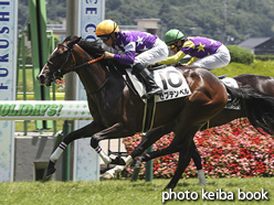 カラーパネル2021年7月17日福島5R 2歳新馬(セプテンベル)