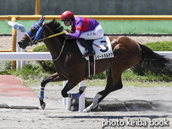 カラーパネル2021年7月18日函館3R 3歳未勝利(スイートカルデア)