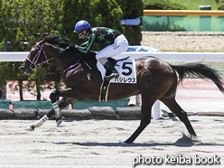 カラーパネル2021年7月18日函館4R 3歳未勝利(バシレウス)