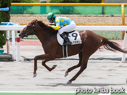 カラープリント(アルミ枠なし)2021年7月31日函館4R 3歳未勝利(デルマタモン)