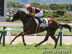 カラープリント(アルミ枠なし)2021年7月31日函館5R 2歳新馬(ソリッドグロウ)