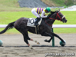 カラーパネル2021年8月1日新潟4R 3歳未勝利(セイウンオードリー)