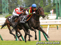 カラーパネル2021年8月1日新潟9R 出雲崎特別(アンドヴァラナウト)