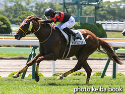 カラープリント(アルミ枠なし)2021年8月7日函館6R 3歳未勝利(ホウオウリアリティ)