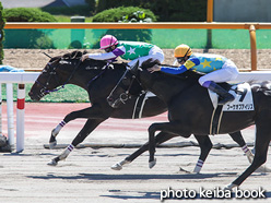 カラーパネル2021年8月7日函館7R 3歳以上1勝クラス(ブルースコード)