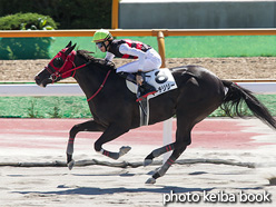 カラープリント(アルミ枠付き)2021年8月7日函館8R 3歳以上1勝クラス(マーチリリー)