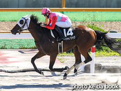 カラープリント(アルミ枠付き)2021年8月7日函館10R 駒場特別(ペイシャノリッジ)