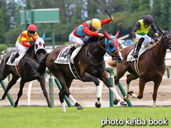 カラーパネル2021年8月8日新潟3R 3歳未勝利(ヘネラルカレーラ)