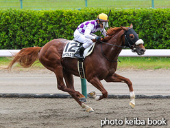 カラープリント(アルミ枠付き)2021年8月14日新潟3R 3歳未勝利(メイプルエクセル)