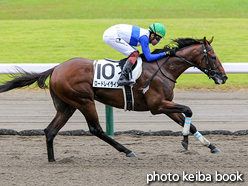 カラーパネル2021年8月14日新潟7R 3歳未勝利(ロードレイライン)