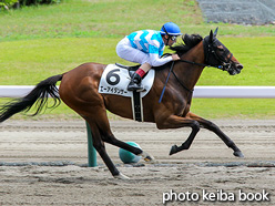 カラープリント(アルミ枠付き)2021年8月15日新潟6R 3歳未勝利(エーアイダンサー)