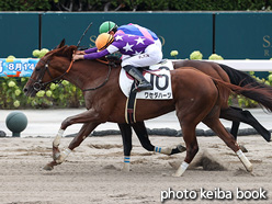 カラープリント(アルミ枠付き)2021年8月15日札幌2R 3歳未勝利(ワセダハーツ)