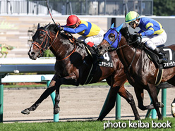 カラーパネル2021年8月21日札幌11R 札幌日刊スポーツ杯(エアサージュ)