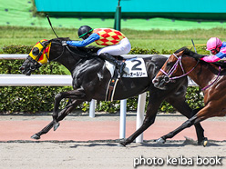 カラープリント(アルミ枠なし)2021年8月28日小倉3R 3歳未勝利(テーオールソー)