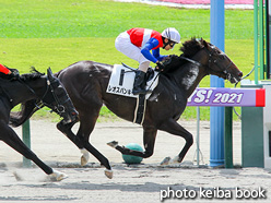 カラーパネル2021年8月28日新潟2R 3歳未勝利(レオスパンキー)